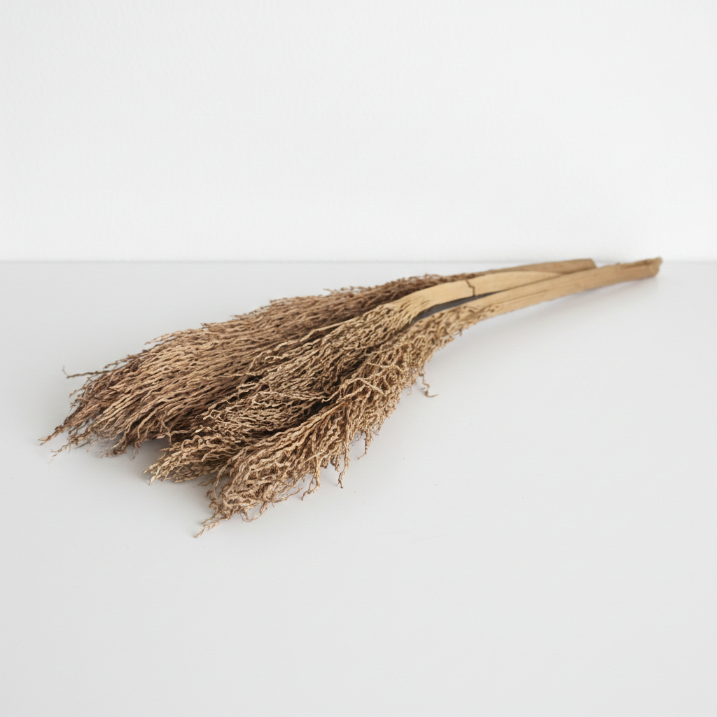 Sušený Khejur Jhar – přírodní list datlovníku, exotický přírodní doplněk pro originální aranžmá